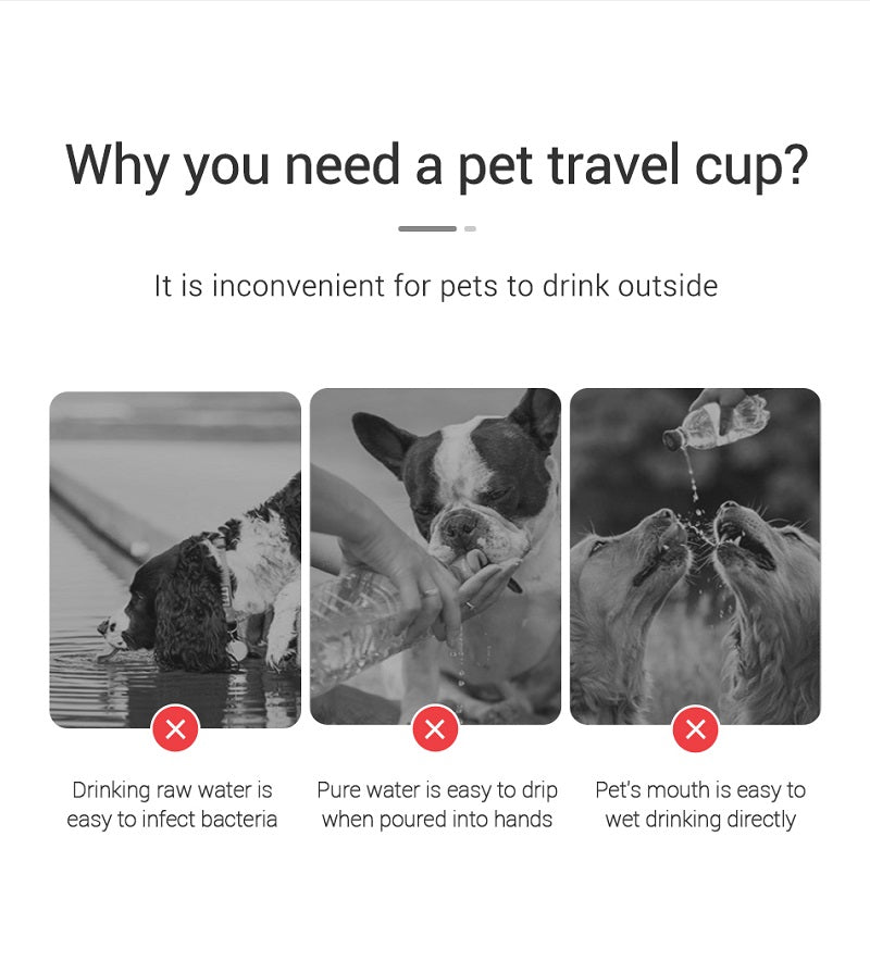 Portable Dog Water Bottle For Small Large Dogs Cat Outdoor Leakproof Walking Drinking Bowls & Travel